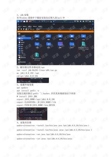 Kali安装burpsuite专业版图片 Kali安装burpsuite专业版图片
