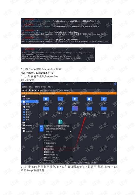 Kali安装burpsuite专业版图片 Kali安装burpsuite专业版图片